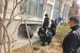 济南重汽嘉瑞苑内有人养信鸽，多部门联合查处图片