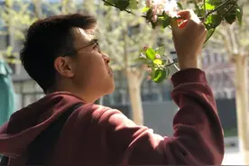 热爱大自然的天大学子们！打造天大专属植物图鉴图片