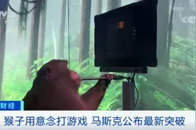 猴子也能打游戏？马斯克公布最新突破！视频曝光→图片