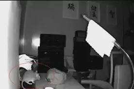 这只老鼠成精了！偷了5条金项链还藏在这种地方，监控记录“犯罪”经过图片