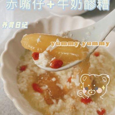 花胶与米酒一起炖 2026年花胶与米酒一起炖的功效