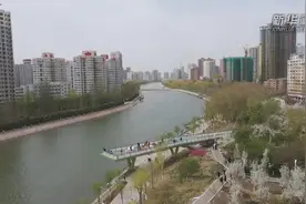 新华全媒+丨沙漠边缘看梨花绽放图片