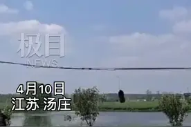 扬州百米高风力发电机倒塌，建成不到半年图片