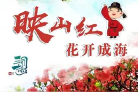美！富阳这里的映山红花开正艳图片