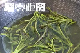 香椿不能这样吃！容易中毒图片