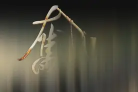 红色百宝 奋斗百年丨第33集：一对伉俪跋涉5000里领到的代表证图片
