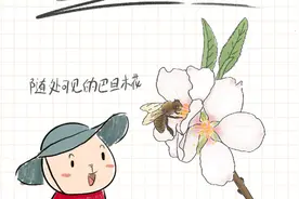 手绘日记丨巴旦木之乡图片