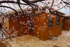 人间四月天花开正当时 盘点山东春日赏花打卡地图片