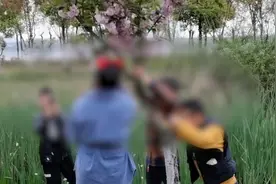 姐姐拍照弟弟摇树造“樱花雨”：模仿大人，为拍照更好看视频封面