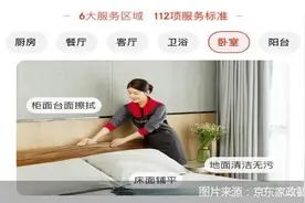 落子家政 京东寻求第n极？图片