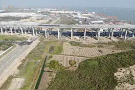 岐江新城、翠亨新区接连刷新中山土地拍卖纪录图片