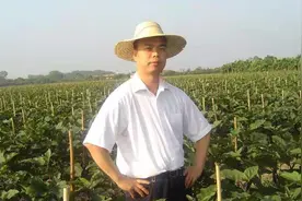 因涉嫌拒不支付劳动报酬 惠州“四季绿”创始人张宋遭刑拘视频封面
