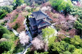 青龙寺的早春图片