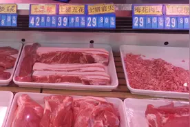 猪肉价格连续下跌，生猪调运新规促“调猪”向“调肉”转变图片