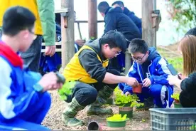 “三四六”!劳动育人“潜在密码”专家建议：将劳动素养评价作为升学、就业的重要参考依据图片
