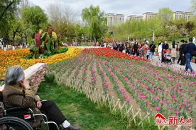 踏青时节“郁”见你 马跑泉公园“盛装”迎客人气旺图片
