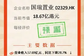 镁刻·年报速读 | 国瑞置业：2020年归母净利同比下降88.5%，“三道红线”均超标图片