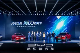 全系“佩刀”的比亚迪背后，磷酸铁锂电池试图反超三元锂电池图片