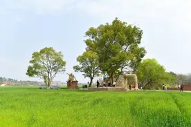 东阳六石街道：“生态美、百姓富”，乡村振兴有抓手图片