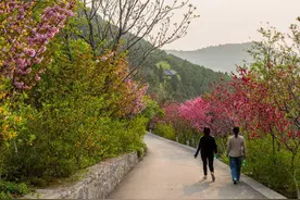 花开齐鲁｜来感受春的味道吧！济南佛慧山花红柳绿一片生机盎然图片
