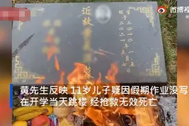 疑因没写完作业，11岁男生开学当天跳楼身亡，引网友热议图片
