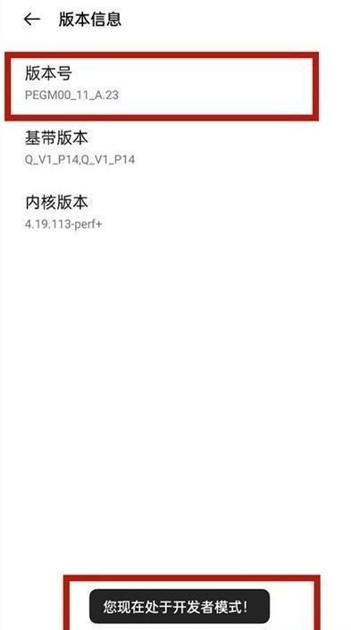 一加9r开发者模式在哪里 一加9r开启开发者选项步骤详解