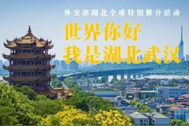 从新生婴儿到百岁老人全部免费救治图片