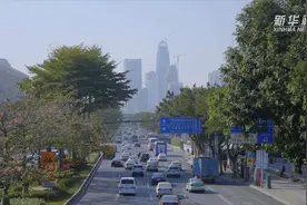 新华全媒+丨20万吨退役电池，大量流入“黑市”——新能源汽车电池回收乱象调查图片