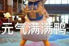 告别“虎背熊腰”！每天5分钟锻炼，有效改善不良体态图片