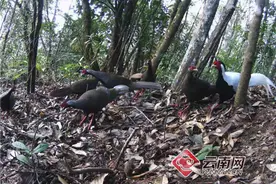 公开透明才能让天更蓝水更清图片