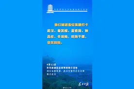 王忠林邀请大家打卡武汉：四季赏花，吃热干面，登黄鹤楼图片