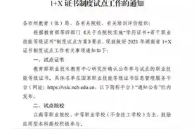 重要提醒！2021年湖南“1+X”证书试点工作4月15日启动图片