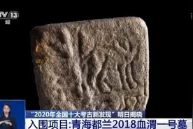 一枚小印章、几颗葡萄籽……“2018血渭一号墓”还有哪些发现？图片
