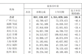 全国机场吞吐量排行洗牌：华南、西南机场逆势增长，首都、浦东两机场跌出前三图片