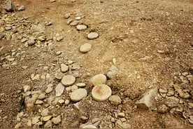 河源一水库水位下降，古建筑遗址露出！十余枚西汉陶饼被发现图片