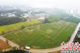 信阳上天梯非金属矿被誉为“亚洲第一矿”图片