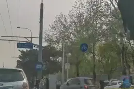 赏花时节，玉渊潭公园周边停车秩序太乱了视频封面