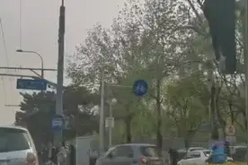 赏花时节，玉渊潭公园周边停车秩序太乱了视频封面