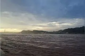 小偷被追到跳江淹死 保安要赔钱吗？图片