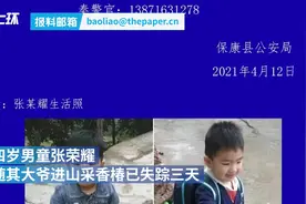 揪心！襄阳四岁男童进山采香椿失踪，全城自发地毯式搜寻视频封面
