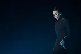 那英为《浪姐》比赛拉票：成团出道，我是认真的图片