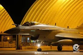 雄鹰振翅，搏击夜空图片