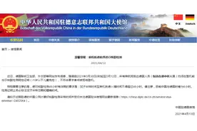 中国驻德使馆提醒：乘机抵德前须进行核酸检测 不符要求者将被拒绝登机图片