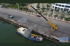 海南三亚：崖州湾生态修复示范初见成效图片