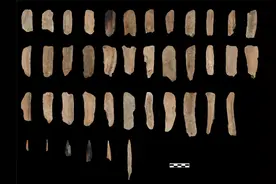 夏代粮仓、十六国大墓、东夏国故城……2020全国十大考古新发现揭晓图片