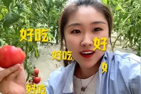 Vlog｜小身体大能量！蚯蚓地里长大的番茄你吃过吗？记者带你走进法博士的“蚯蚓世界”图片
