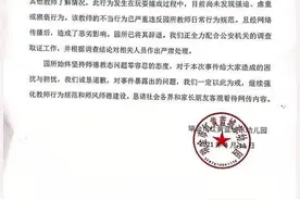 红黄蓝到底怎么了？年报中称“不能保证老师遵守安全规范”图片