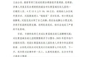 瑞金通报红黄蓝城东幼儿园事件调查处理情况：涉事人员行拘七日，幼儿园限期整顿图片