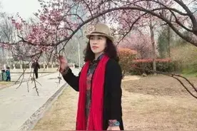 海棠花儿开图片