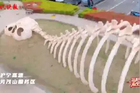 刷屏！穿越机打卡三大网红服务区，大美中国太圈粉图片